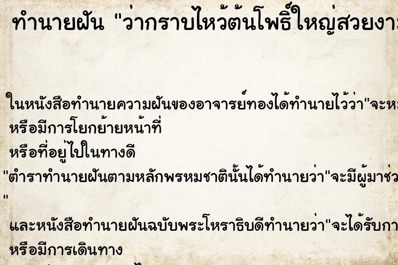 ทำนายฝันว่ากราบไหว้ต้นโพธิ์ใหญ่สวยงาม ทำนายฝันทำนายฝันว่ากราบไหว้ต้นโพธิ์ใหญ่สวยงาม