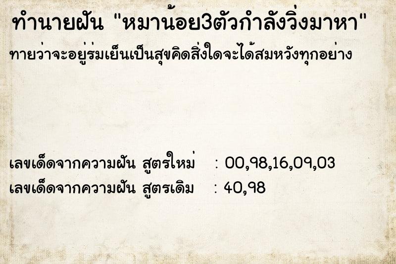 ทำนายฝันทำนายฝันหมาน้อย3ตัวกำลังวิ่งมาหา