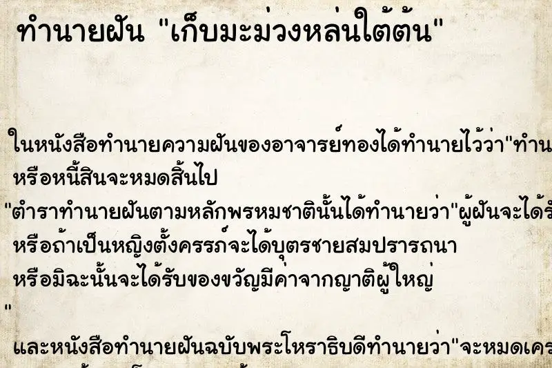 ทำนายฝัน เก็บมะม่วงหล่นใต้ต้น ทำนายฝัน เก็บมะม่วงหล่นใต้ต้น