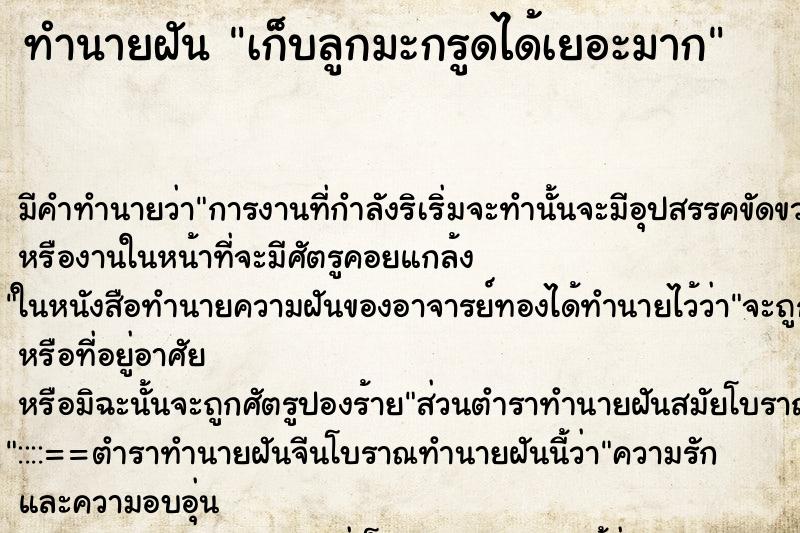 ทำนายฝัน เก็บลูกมะกรูดได้เยอะมาก ทำนายฝัน เก็บลูกมะกรูดได้เยอะมาก