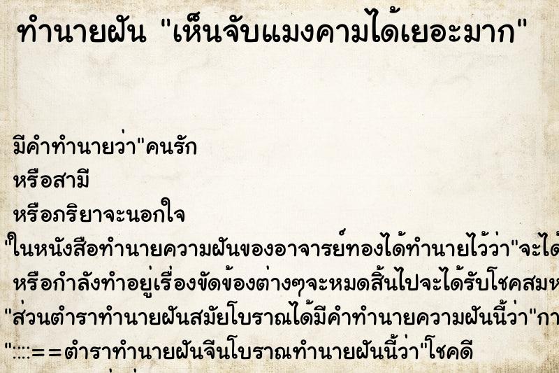 ทำนายฝัน เห็นจับแมงคามได้เยอะมาก ทำนายฝัน เห็นจับแมงคามได้เยอะมาก