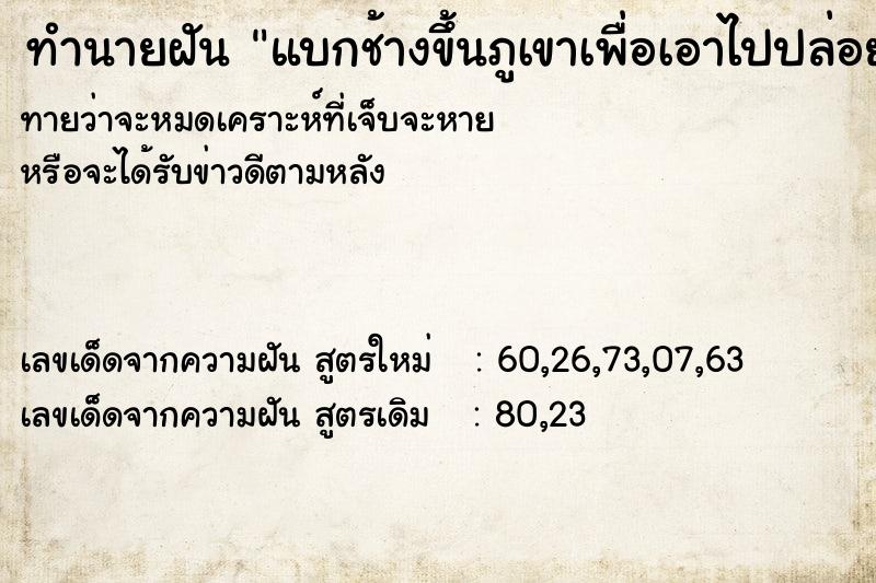 ทำนายฝันแบกช้างขึ้นภูเขาเพื่อเอาไปปล่อย ทำนายฝันทำนายฝันแบกช้างขึ้นภูเขาเพื่อเอาไปปล่อย