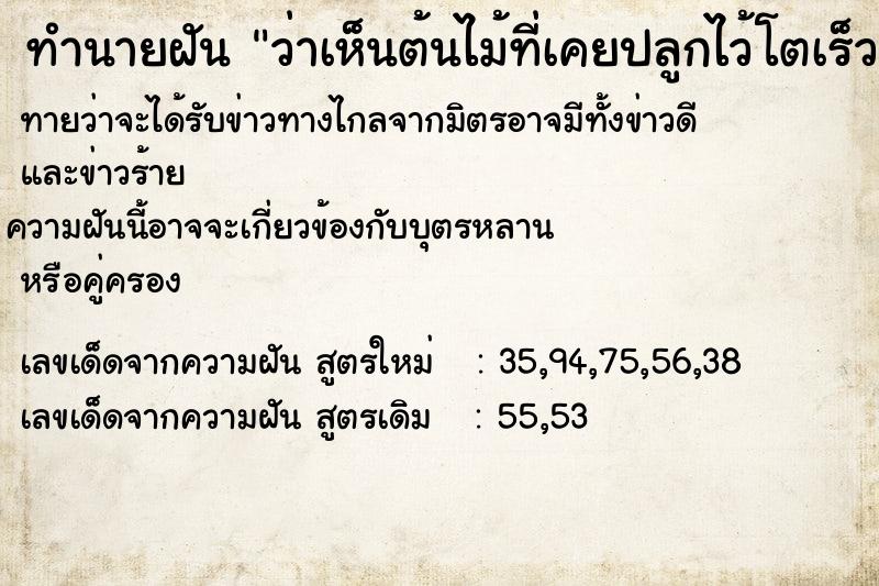 ทำนายฝันว่าเห็นต้นไม้ที่เคยปลูกไว้โตเร็ว ทำนายฝันทำนายฝันว่าเห็นต้นไม้ที่เคยปลูกไว้โตเร็ว
