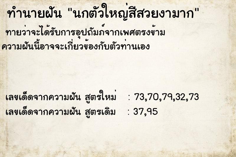 ทำนายฝัน นกตัวใหญ่สีสวยงามาก ทำนายฝัน นกตัวใหญ่สีสวยงามาก