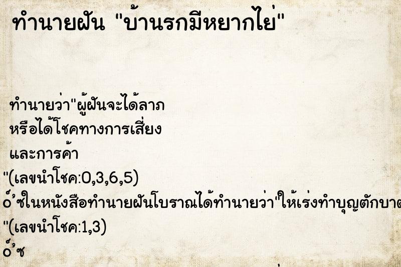 ทำนายฝัน บ้านรกมีหยากไย่ ทำนายฝัน บ้านรกมีหยากไย่