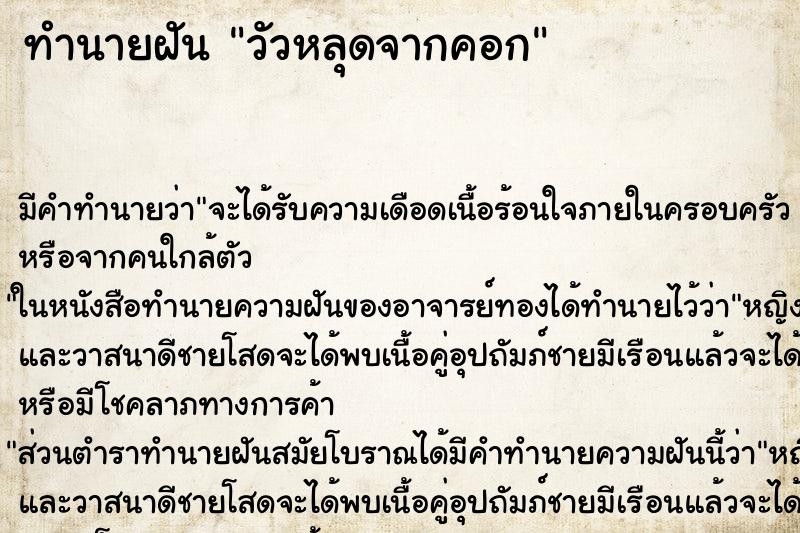 ทำนายฝัน วัวหลุดจากคอก ทำนายฝัน วัวหลุดจากคอก