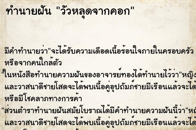 ทำนายฝัน วัวหลุดจากคอก ตำราโบราณ แม่นที่สุดในโลก