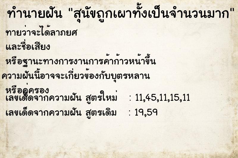 ทำนายฝันสุนัขถูกเผาทั้งเป็นจำนวนมาก ทำนายฝันทำนายฝันสุนัขถูกเผาทั้งเป็นจำนวนมาก