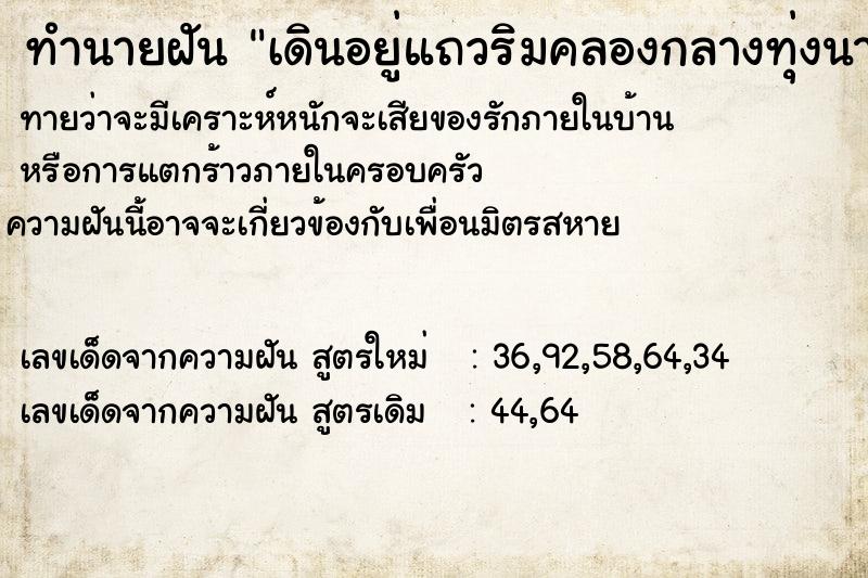 ทำนายฝันเดินอยู่แถวริมคลองกลางทุ่งนา ทำนายฝันทำนายฝันเดินอยู่แถวริมคลองกลางทุ่งนา