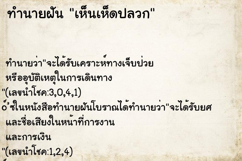 ทำนายฝัน เห็นเห็ดปลวก ทำนายฝัน เห็นเห็ดปลวก