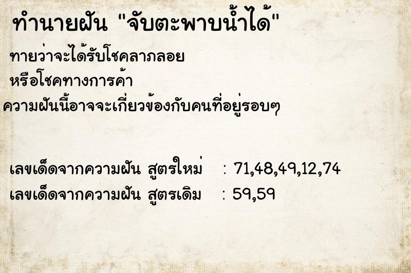 ทำนายฝัน จับตะพาบน้ำได้