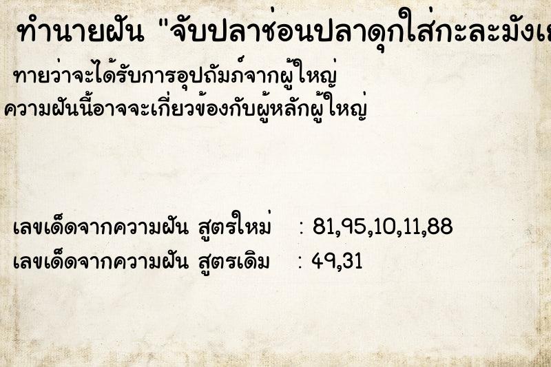 ทำนายฝัน จับปลาช่อนปลาดุกใส่กะละมังเยอะ ทำนายฝัน จับปลาช่อนปลาดุกใส่กะละมังเยอะ