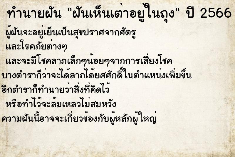 ทำนายฝันฝันเห็นเต่าอยู่ในถุง ทำนายฝันทำนายฝันฝันเห็นเต่าอยู่ในถุง