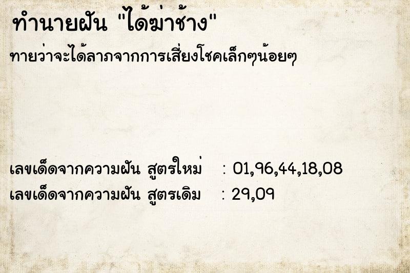 ทำนายฝัน ได้ฆ่าช้าง ทำนายฝัน ได้ฆ่าช้าง
