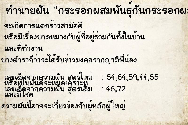 ทำนายฝันกระรอกผสมพันธุ์กันกระรอกผสมพันธุ์กัน ทำนายฝันทำนายฝันกระรอกผสมพันธุ์กันกระรอกผสมพันธุ์กัน
