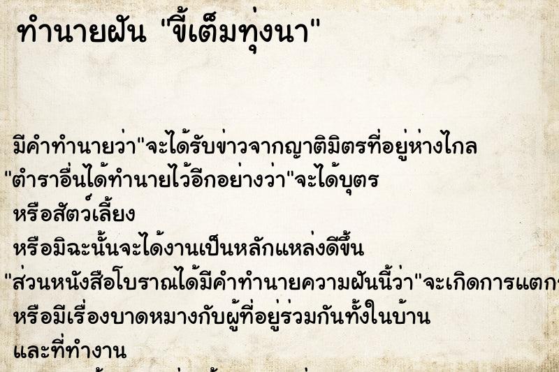 ทำนายฝันทำนายฝันขี้เต็มทุ่งนา