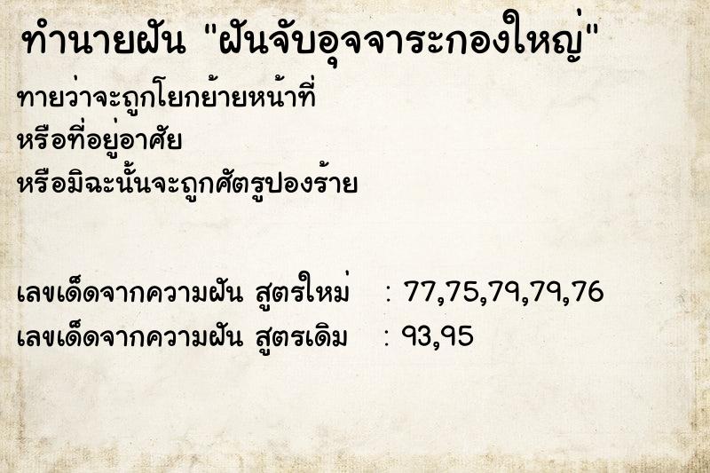 ทำนายฝันทำนายฝันฝันจับอุจจาระกองใหญ่