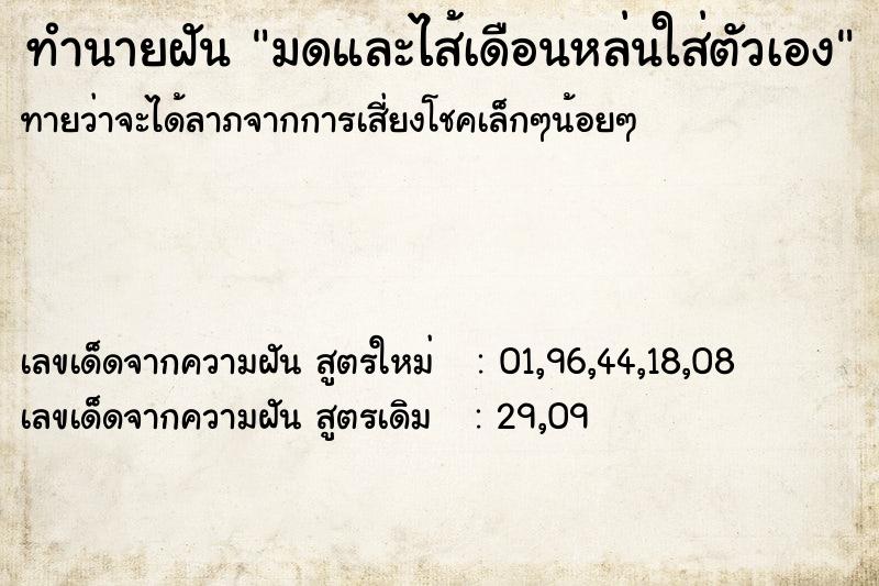 ทำนายฝันมดและไส้เดือนหล่นใส่ตัวเอง ทำนายฝันทำนายฝันมดและไส้เดือนหล่นใส่ตัวเอง