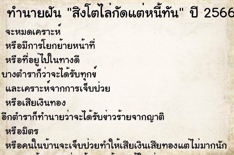 ทำนายฝันทำนายฝันสิงโตไล่กัดแต่หนี้ทัน
