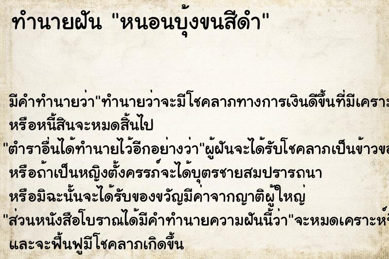 ทำนายฝัน หนอนบุ้งขนสีดำ ทำนายฝัน หนอนบุ้งขนสีดำ