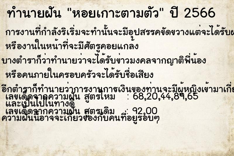 ทำนายฝันหอยเกาะตามตัว ทำนายฝันทำนายฝันหอยเกาะตามตัว