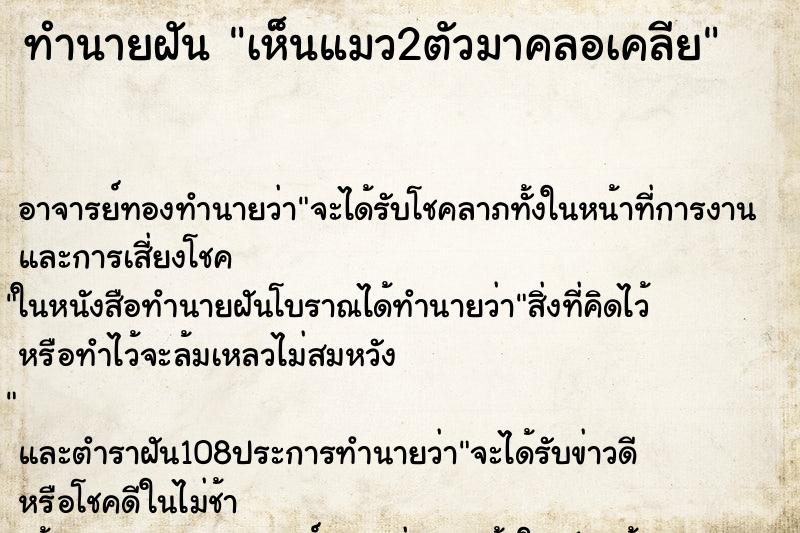 ทำนายฝัน เห็นแมว2ตัวมาคลอเคลีย ตำราโบราณ แม่นที่สุดในโลก