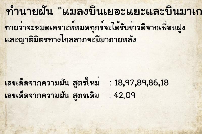 ทำนายฝัน แมลงบินเยอะแยะและบินมาเกาะตามตัว