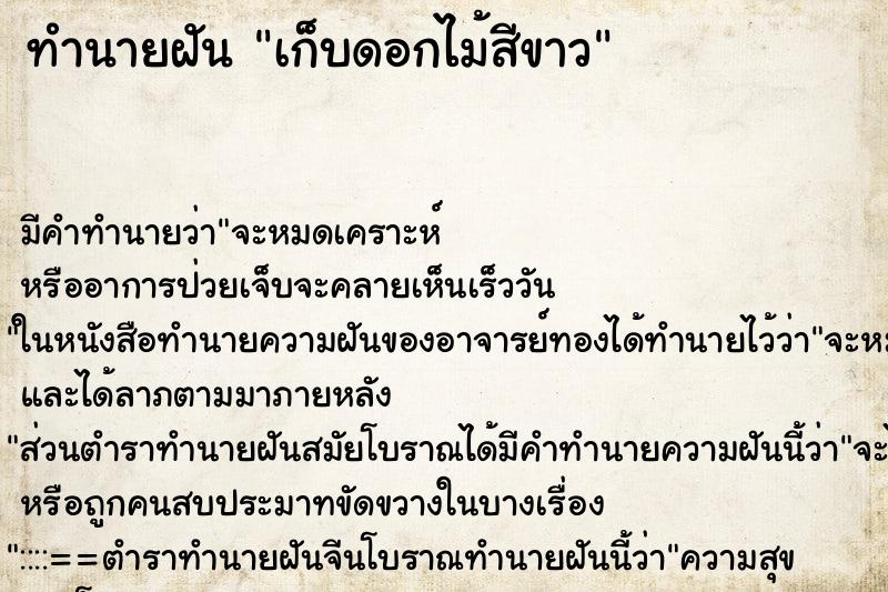 ทำนายฝัน เก็บดอกไม้สีขาว ทำนายฝัน เก็บดอกไม้สีขาว