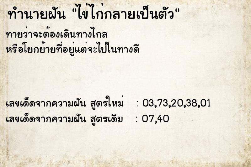 ทำนายฝันไข่ไก่กลายเป็นตัว ทำนายฝันทำนายฝันไข่ไก่กลายเป็นตัว