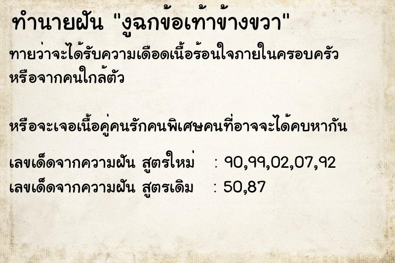 ทำนายฝันทำนายฝันงูฉกข้อเท้าข้างขวา