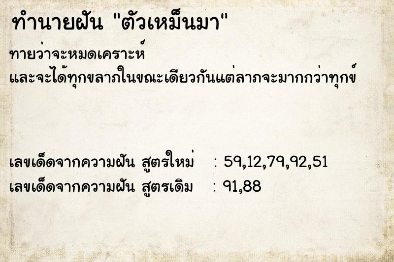 ทำนายฝันตัวเหม็นมา ทำนายฝันทำนายฝันตัวเหม็นมา