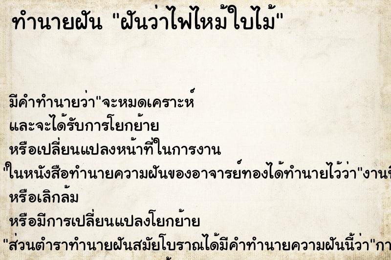 ทำนายฝัน ฝันว่าไฟไหม้ใบไม้ ทำนายฝัน ฝันว่าไฟไหม้ใบไม้