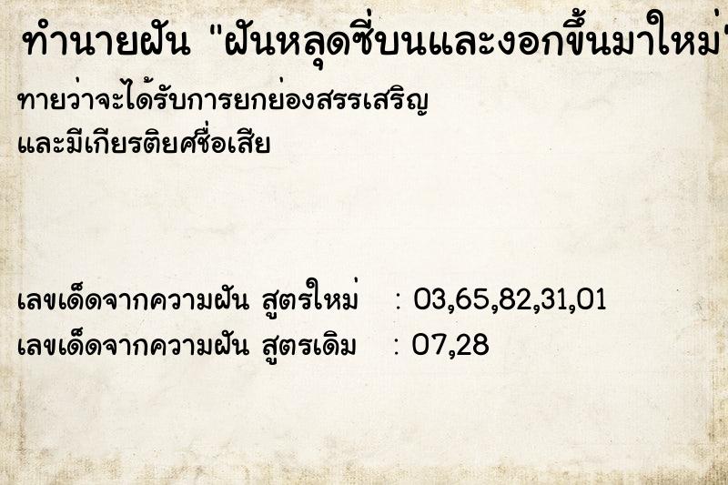 ทำนายฝันฝันหลุดซี่บนและงอกขึ้นมาใหม่ ทำนายฝันทำนายฝันฝันหลุดซี่บนและงอกขึ้นมาใหม่