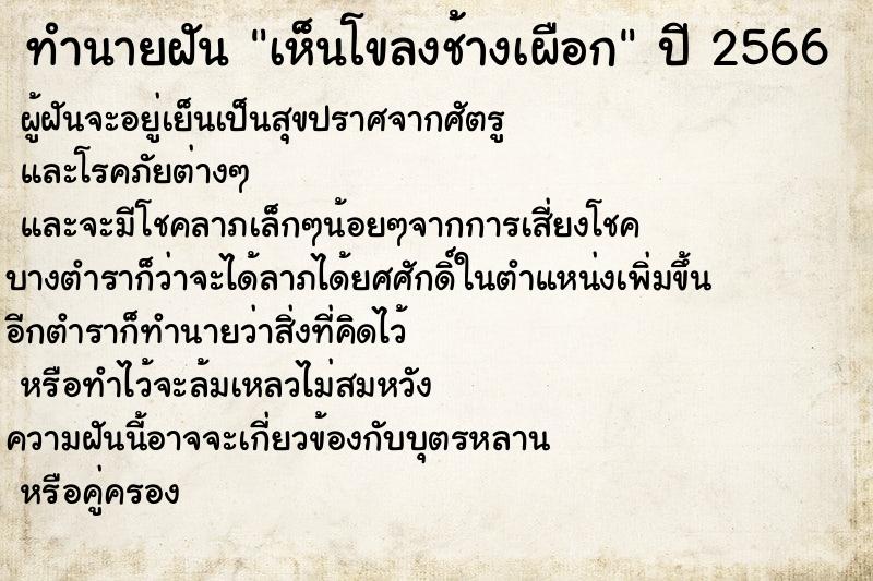 ทำนายฝัน เห็นโขลงช้างเผือก ทำนายฝัน เห็นโขลงช้างเผือก
