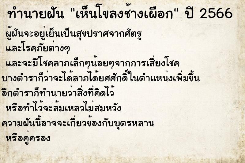 ทำนายฝัน เห็นโขลงช้างเผือก ตำราโบราณ แม่นที่สุดในโลก