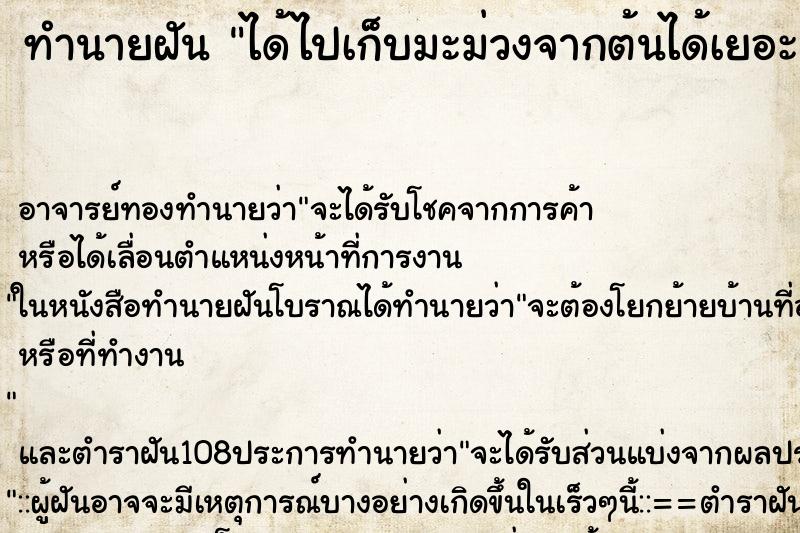 ทำนายฝัน ได้ไปเก็บมะม่วงจากต้นได้เยอะมาก