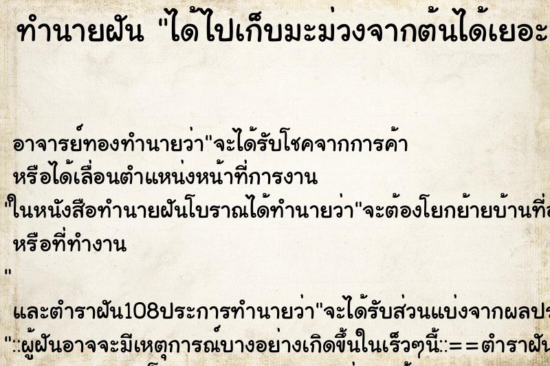 ทำนายฝัน ได้ไปเก็บมะม่วงจากต้นได้เยอะมาก ตำราโบราณ แม่นที่สุดในโลก