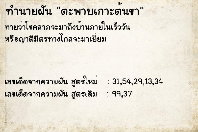 ทำนายฝันทำนายฝันตะพาบเกาะต้นขา