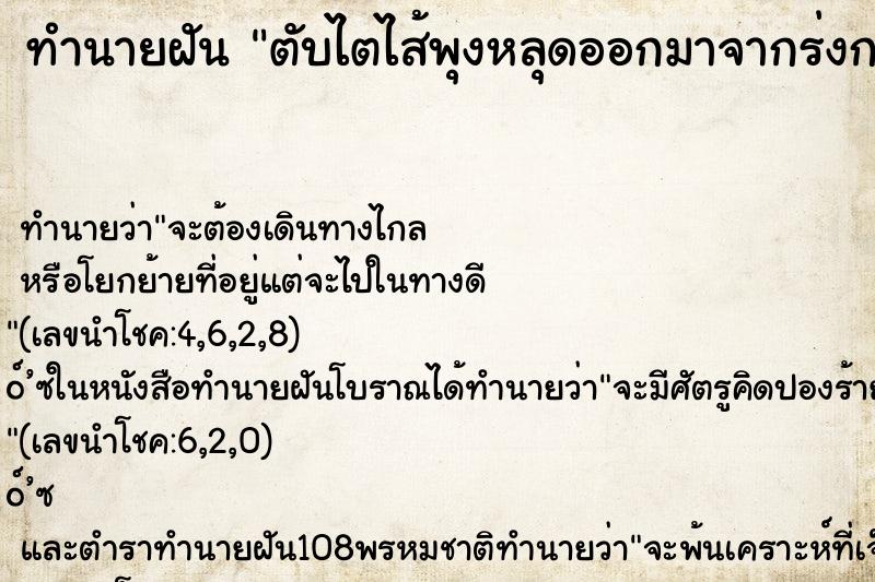 ทำนายฝันตับไตไส้พุงหลุดออกมาจากร่งกาย ทำนายฝันทำนายฝันตับไตไส้พุงหลุดออกมาจากร่งกาย