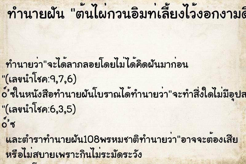 ทำนายฝันต้นไผ่กวนอิมท่เลี้ยงไว้งอกงามดี ทำนายฝันทำนายฝันต้นไผ่กวนอิมท่เลี้ยงไว้งอกงามดี