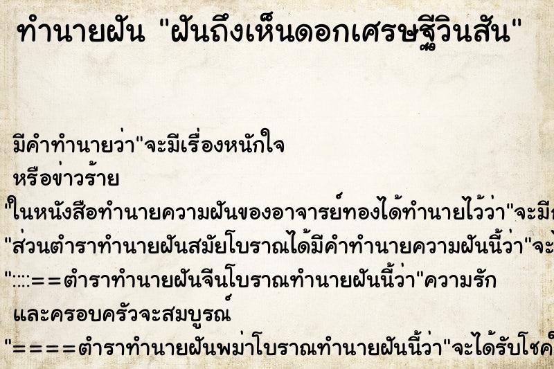 ทำนายฝัน ฝันถึงเห็นดอกเศรษฐีวินสัน ทำนายฝัน ฝันถึงเห็นดอกเศรษฐีวินสัน