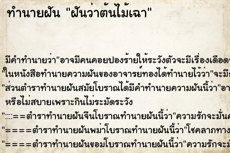ทำนายฝันฝันว่าต้นไม้เฉา ทำนายฝันทำนายฝันฝันว่าต้นไม้เฉา