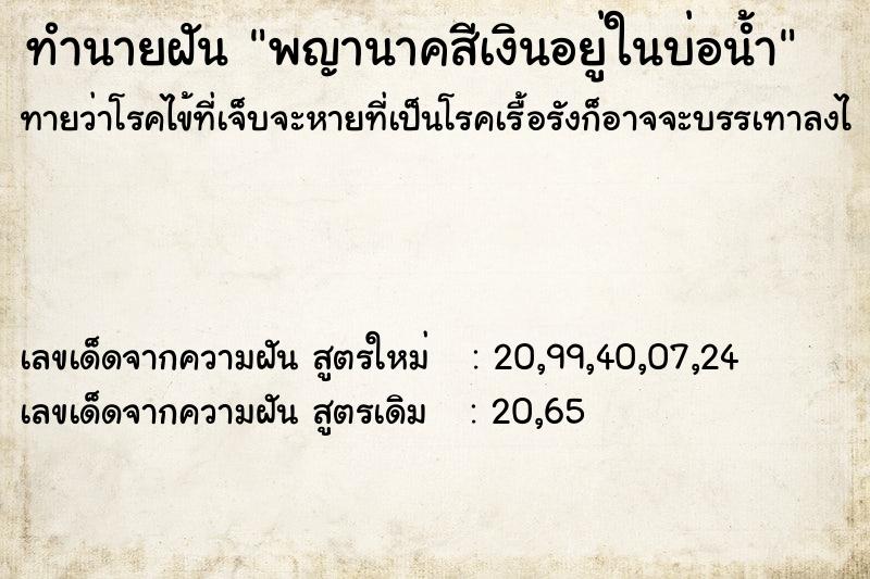 ทำนายฝันพญานาคสีเงินอยู่ในบ่อน้ำ ทำนายฝันทำนายฝันพญานาคสีเงินอยู่ในบ่อน้ำ