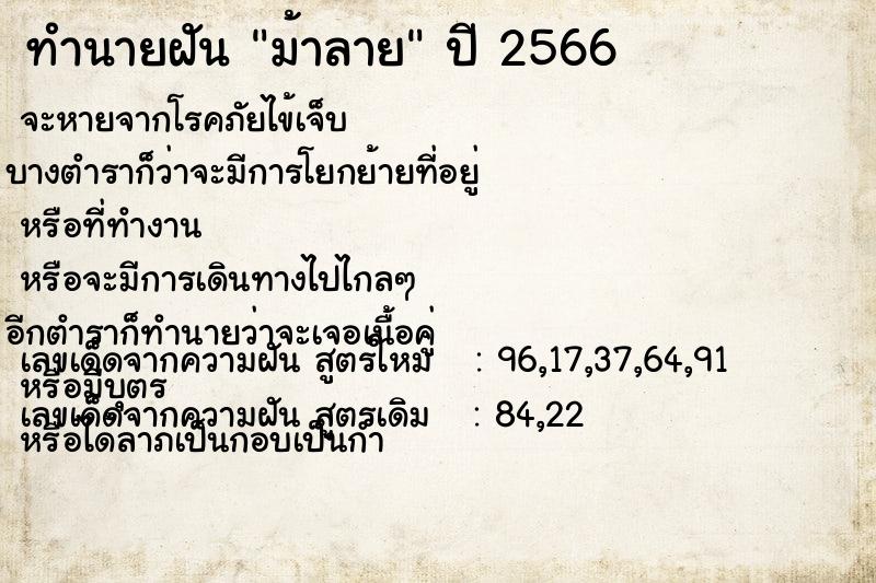 ทำนายฝัน ม้าลาย แม่นๆ ฟรี ด้วยตำราหนังสือทำนายฝันโบราณ ทำนายฝันม้าลาย