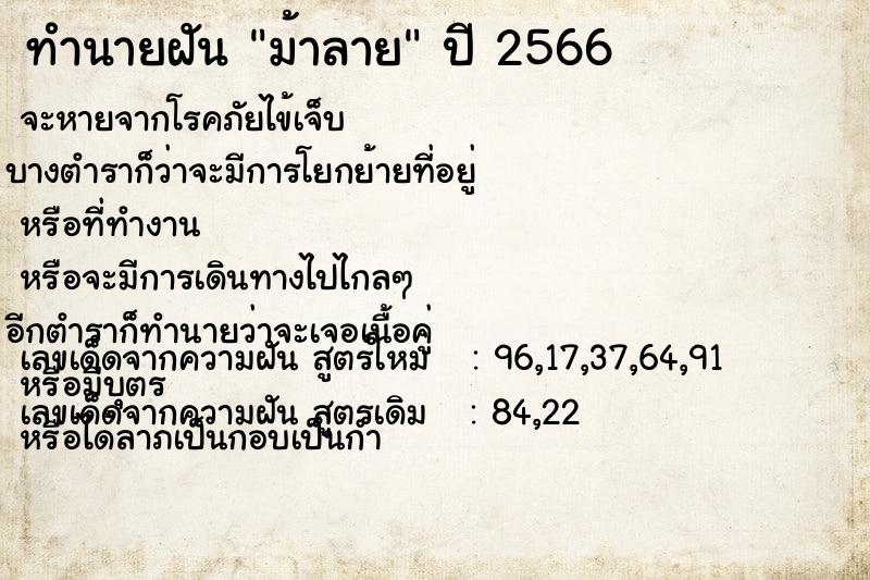 ทำนายฝัน ม้าลาย ตำราโบราณ แม่นที่สุดในโลก