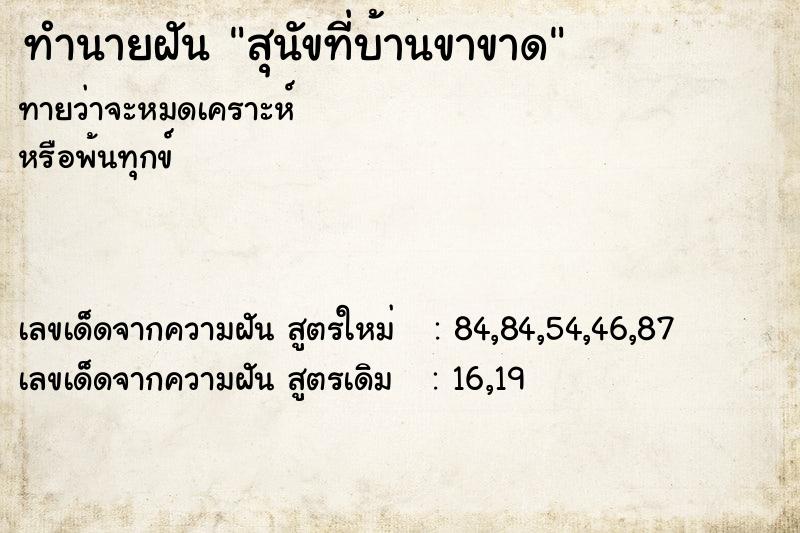 ทำนายฝันสุนัขที่บ้านขาขาด ทำนายฝันทำนายฝันสุนัขที่บ้านขาขาด
