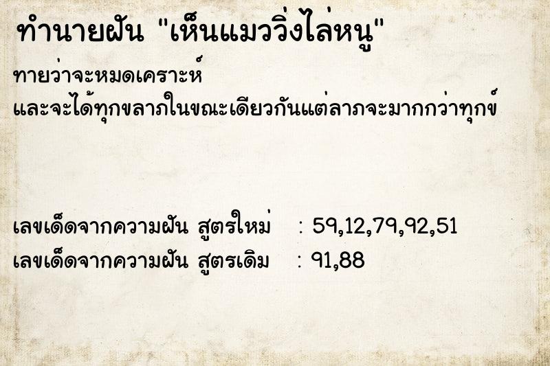 ทำนายฝันทำนายฝันเห็นแมววิ่งไล่หนู