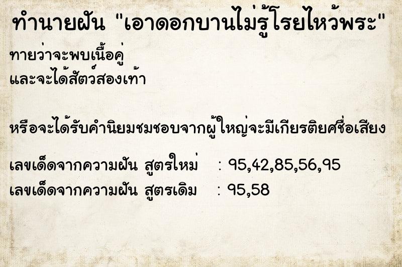 ทำนายฝันทำนายฝันเอาดอกบานไม่รู้โรยไหว้พระ