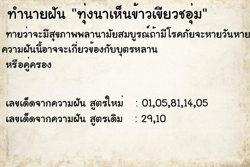 ทำนายฝันทำนายฝันทุ่งนาเห็นข้าวเขียวชอุ่ม