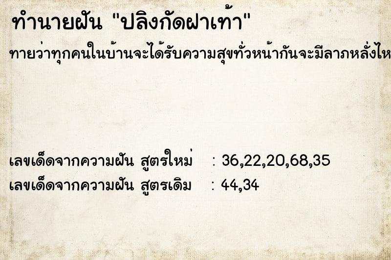 ทำนายฝันปลิงกัดฝาเท้า ทำนายฝันทำนายฝันปลิงกัดฝาเท้า